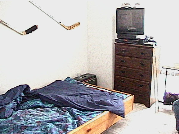 Bedroom View 1