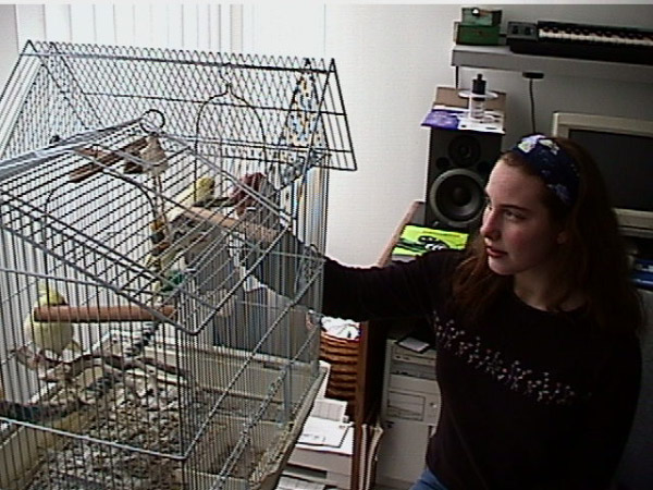 Johanna, Socrates and Murphy