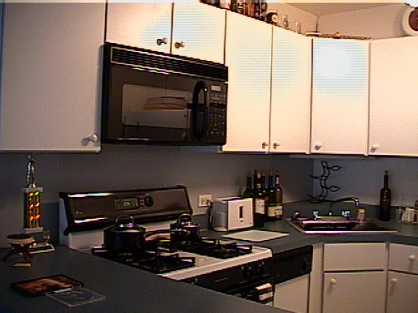 Kitchen View 1