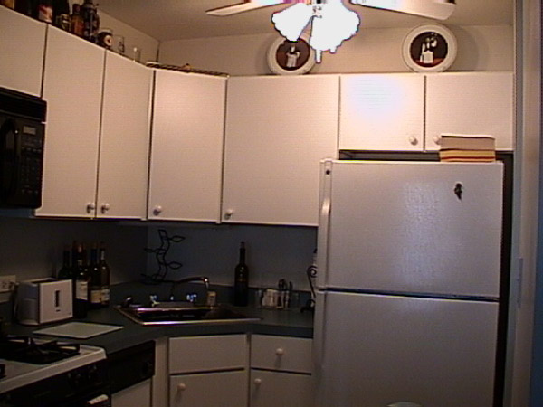 Kitchen View 2