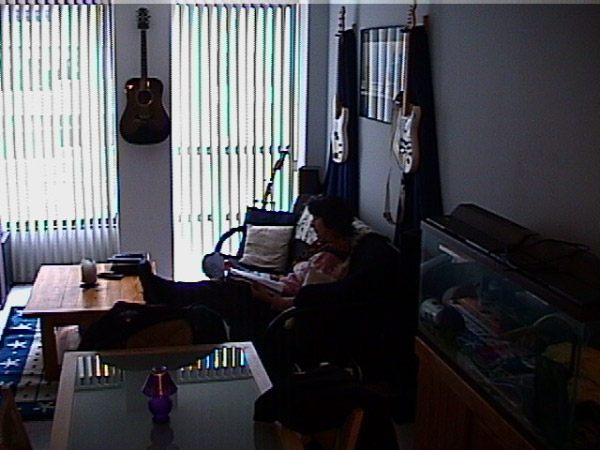 Living Room View 2