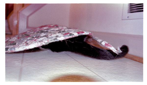 image11
