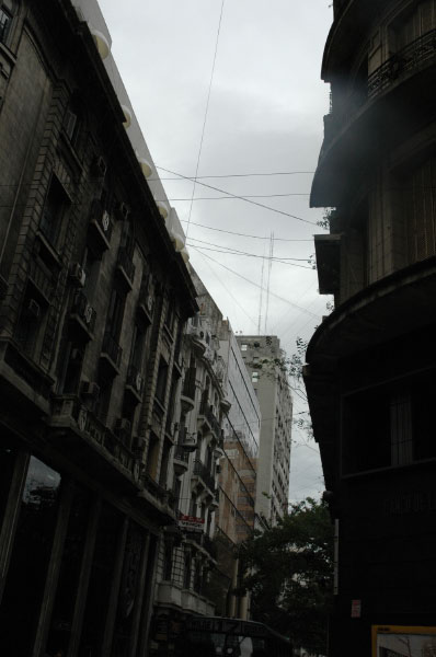 DSC_4413