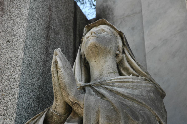 DSC_4553