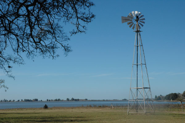 DSC_4627