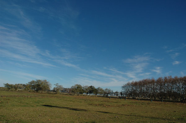 DSC_4867