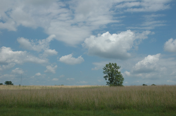 DSC_5927