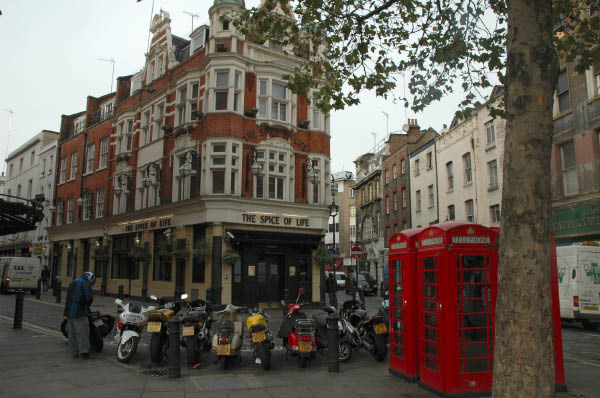 DSC_1867
