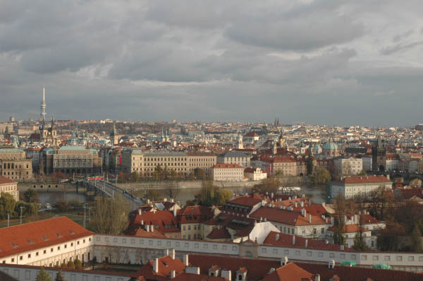 DSC_2934