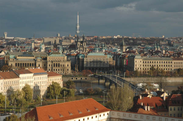 DSC_2944