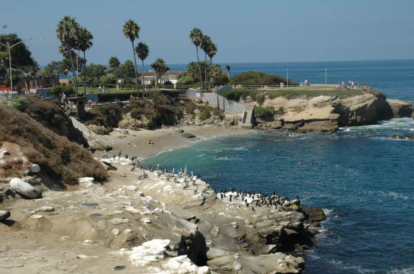 DSC_7988