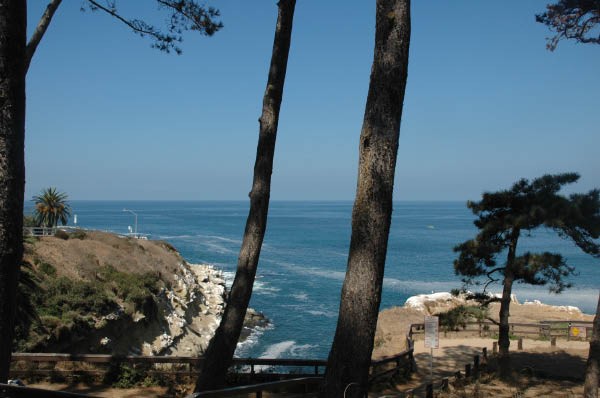 DSC_8000