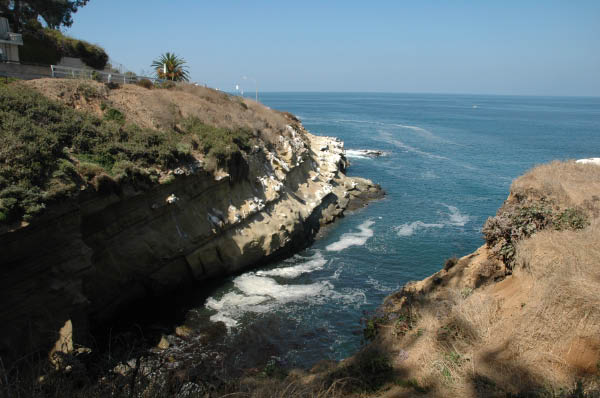 DSC_8011