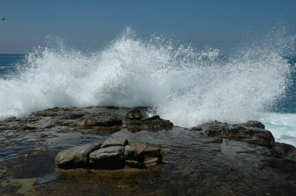 DSC_8061