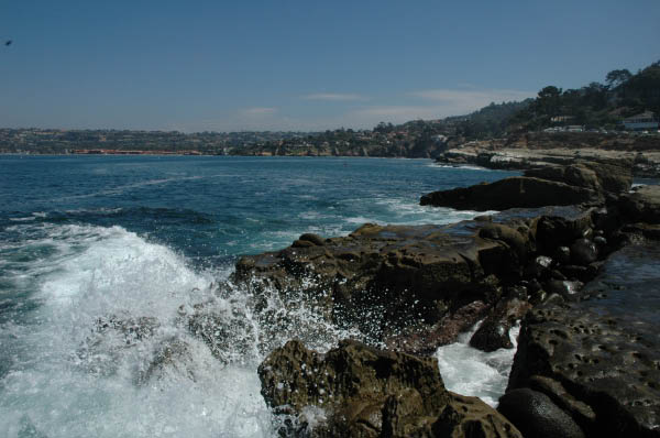 DSC_8102