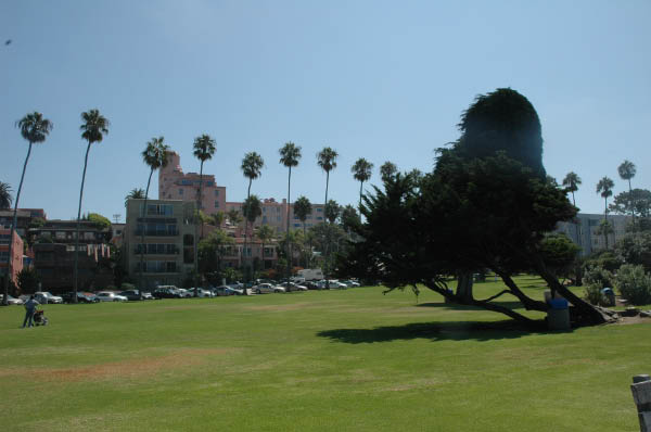 DSC_8113