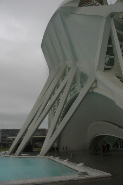 DSC_0250
