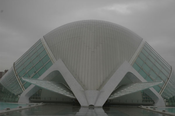 DSC_0252