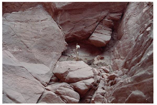 image10