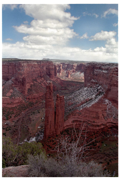 image19