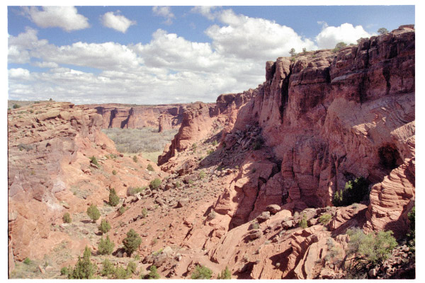 image8