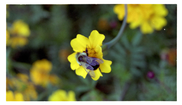 image12