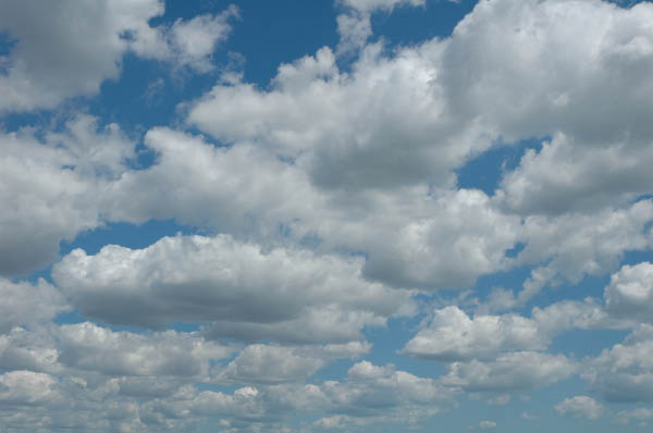 DSC_1221_edited