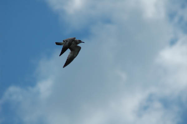 DSC_1257_edited