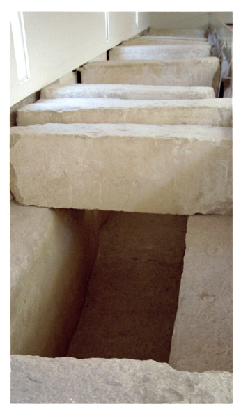 image11