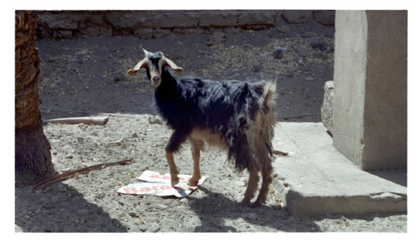 image17-3