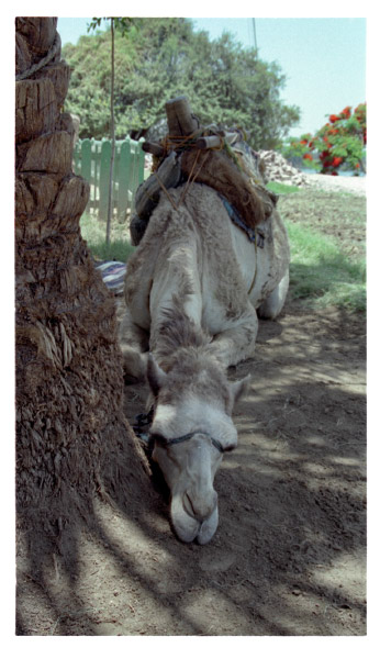 image18-3