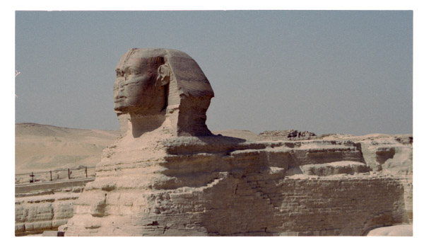 image19-2