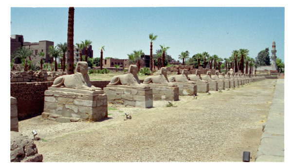 image20-2