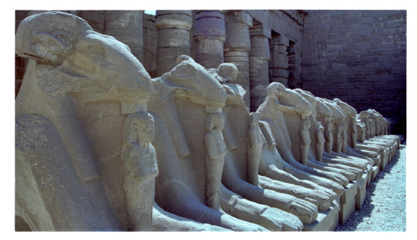 image6-5