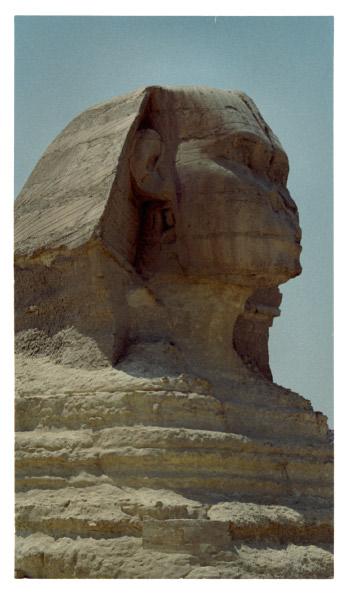 image7-2