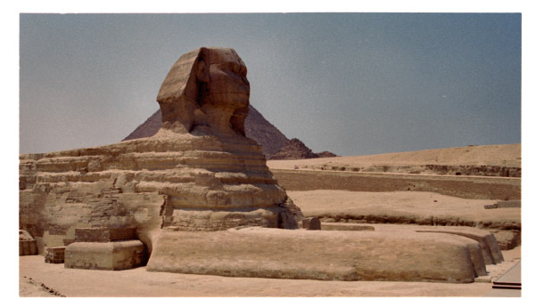 image8-2
