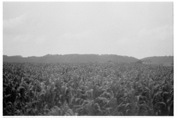image4-3