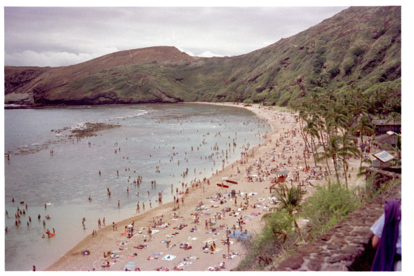 image8-1