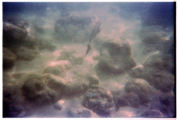 image8