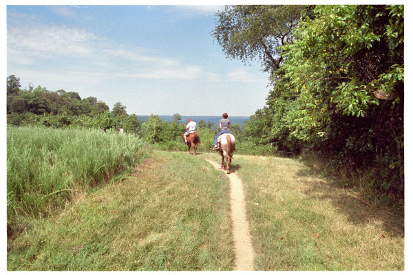 image11-1