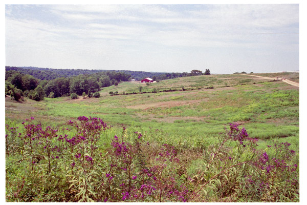 image16