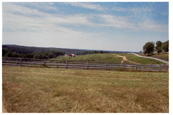 image5-1