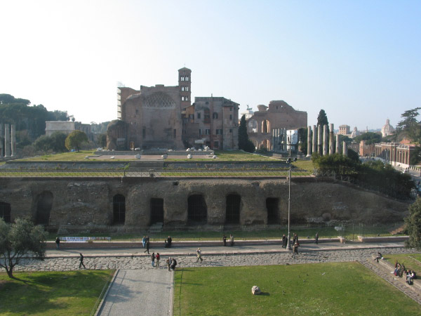 IMG_1019