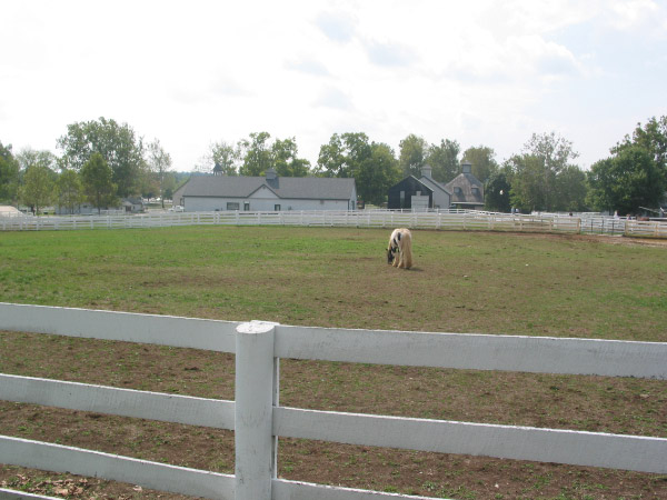 105-0512_IMG