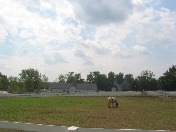 105-0513_IMG