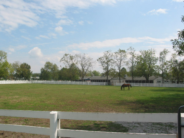 105-0517_IMG