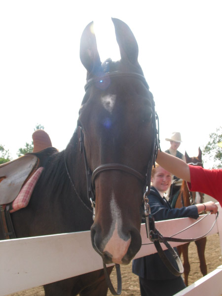 105-0539_IMG