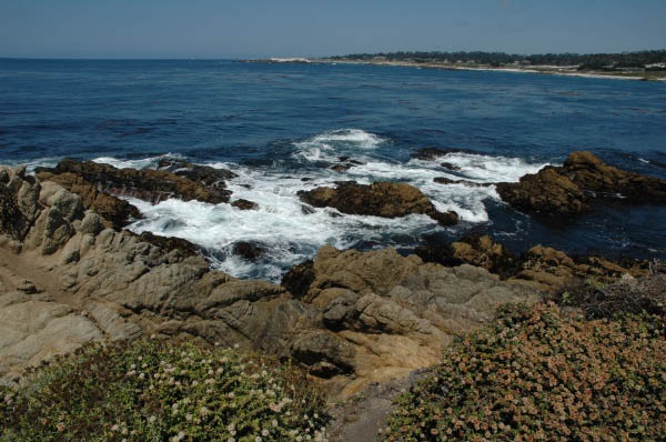 DSC_3685