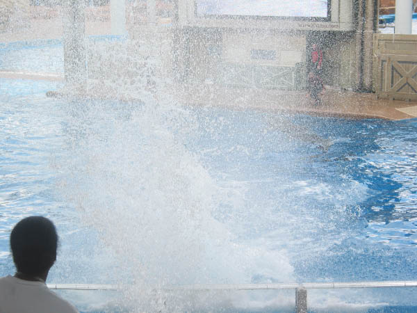 105_0549