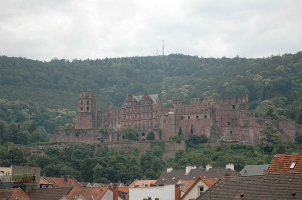 DSC_1113